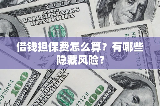 武汉借钱担保费怎么算？有哪些隐藏风险？