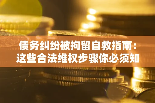 武汉债务纠纷被拘留自救指南：这些合法维权步骤你必须知道！