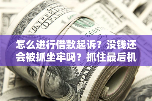 武汉怎么进行借款起诉？没钱还会被抓坐牢吗？抓住最后机会！