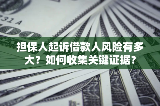 武汉担保人起诉借款人风险有多大？如何收集关键证据？