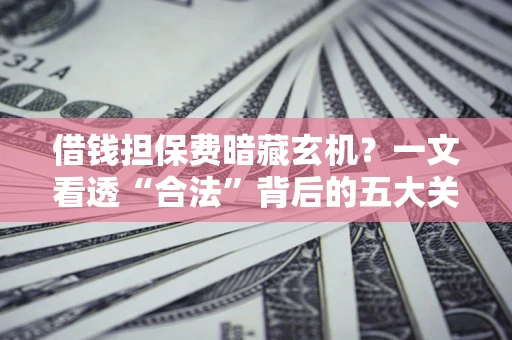 武汉借钱担保费暗藏玄机？一文看透“合法”背后的五大关键陷阱