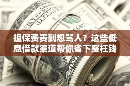 武汉担保费贵到想骂人？这些低息借款渠道帮你省下冤枉钱