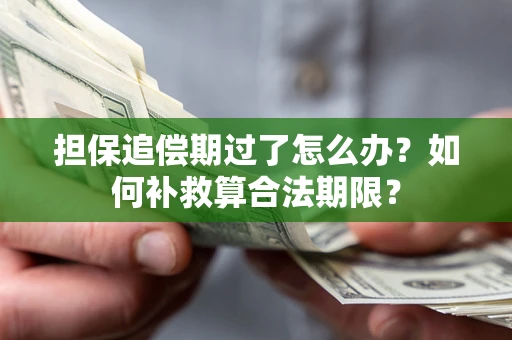 武汉担保追偿期过了怎么办？如何补救算合法期限？