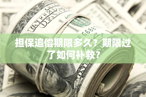 武汉担保追偿期限多久？期限过了如何补救？