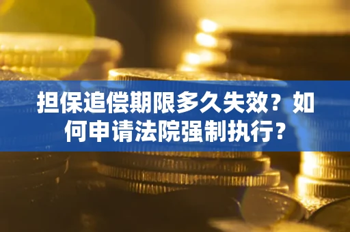 武汉担保追偿期限多久失效？如何申请法院强制执行？