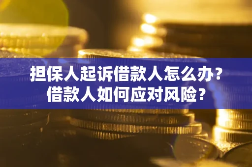 武汉担保人起诉借款人怎么办？借款人如何应对风险？