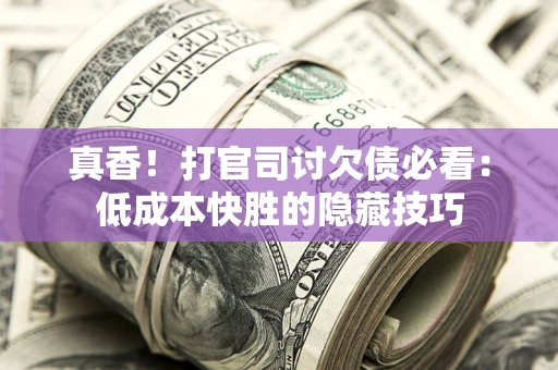 武汉真香！打官司讨欠债必看：低成本快胜的隐藏技巧