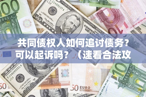武汉共同债权人如何追讨债务？可以起诉吗？（速看合法攻略）