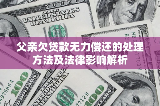 武汉父亲欠贷款无力偿还的处理方法及法律影响解析