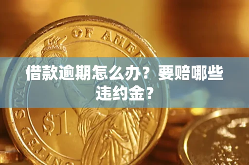 武汉借款逾期怎么办？要赔哪些违约金？