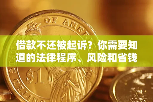武汉借款不还被起诉？你需要知道的法律程序、风险和省钱技巧