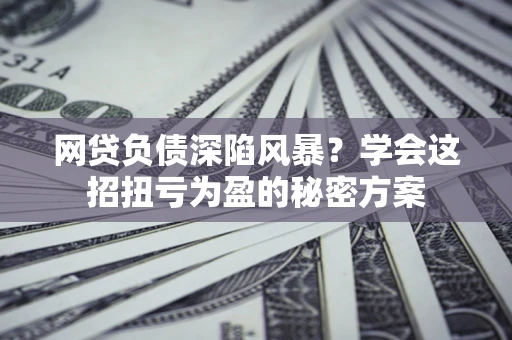 武汉网贷负债深陷风暴？学会这招扭亏为盈的秘密方案