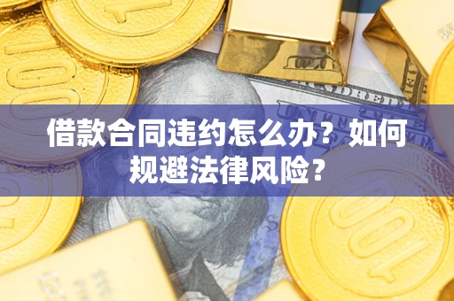 武汉借款合同违约怎么办？如何规避法律风险？