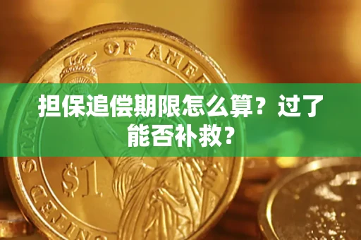 武汉担保追偿期限怎么算？过了能否补救？